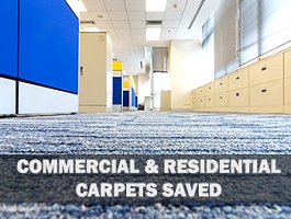 Commercial and residential carpet damage