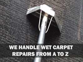 ewe handle emergency carpet water extraction from a to z
