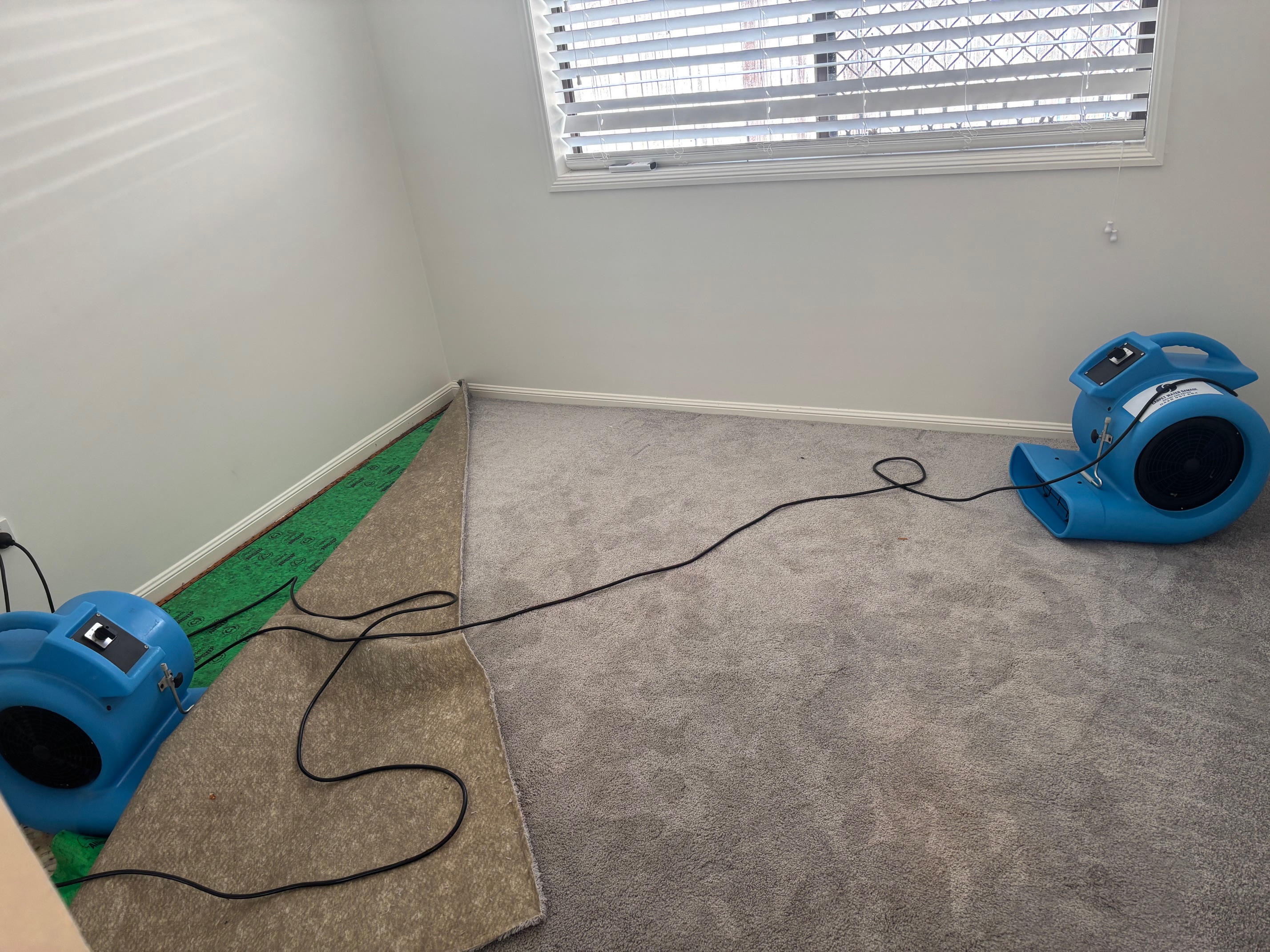 24/7 emergency carpet cleaning, quick response team