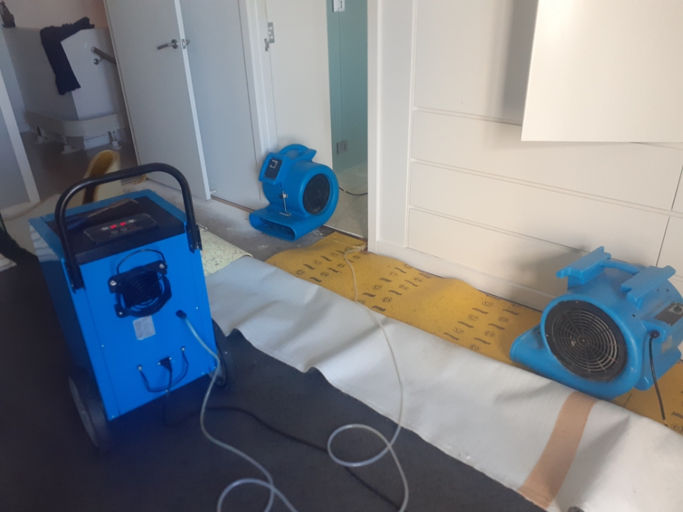 HEPA filter rental Kings Langley, mould prevention