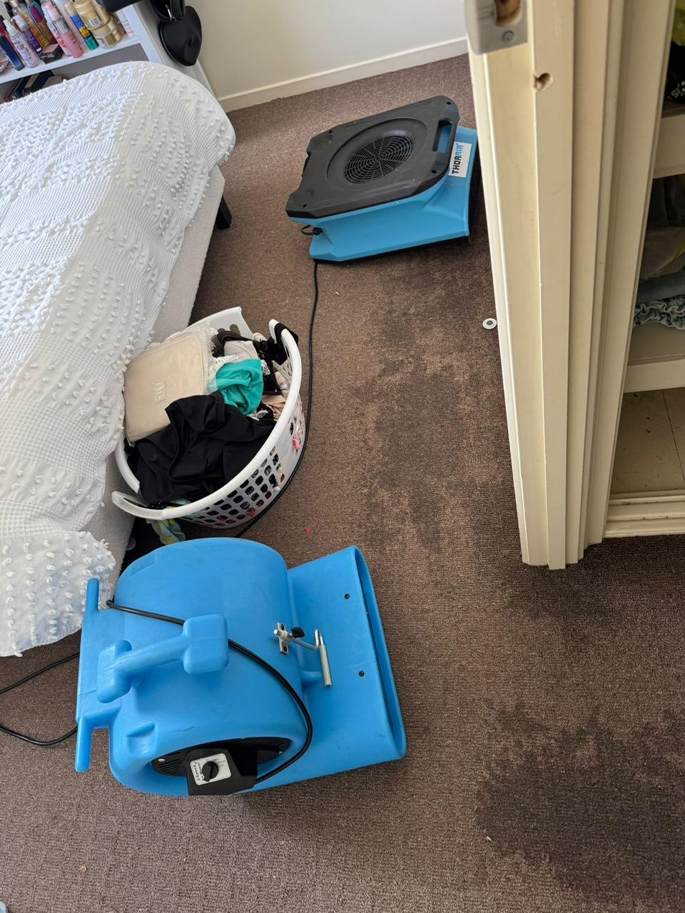 carpet drying service, industrial carpet dryer