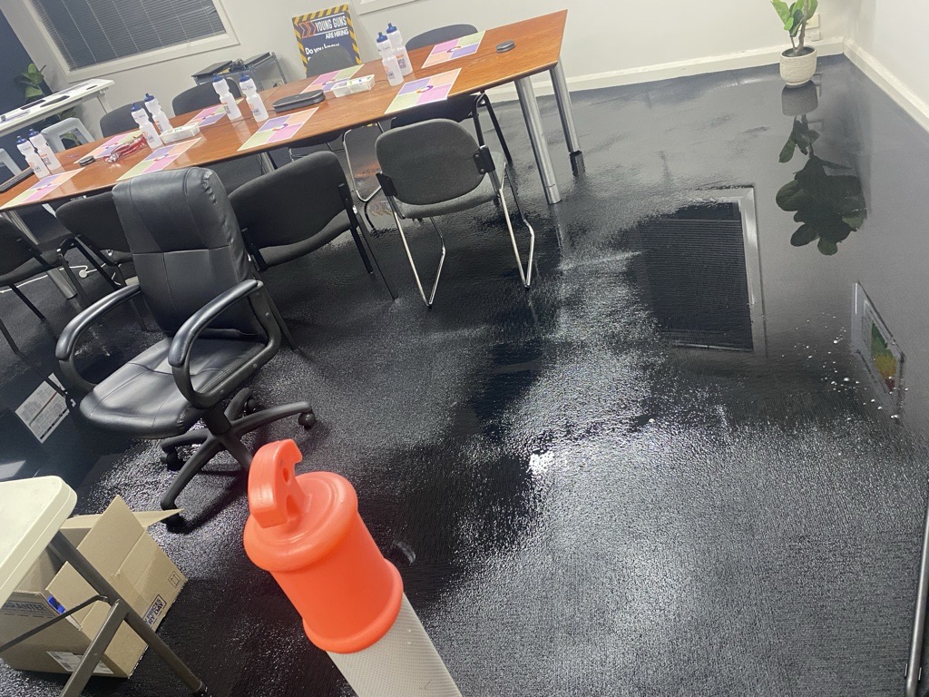 HEPA filter rental Hornsby, mould prevention