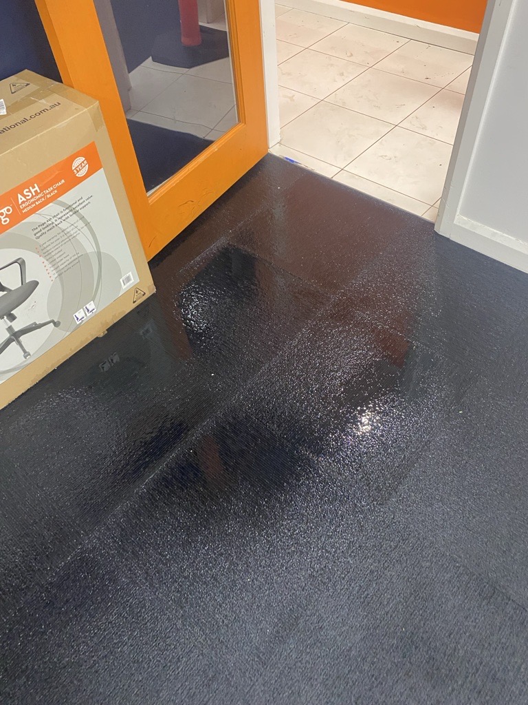 antibacterial treatment, mould prevention on carpets