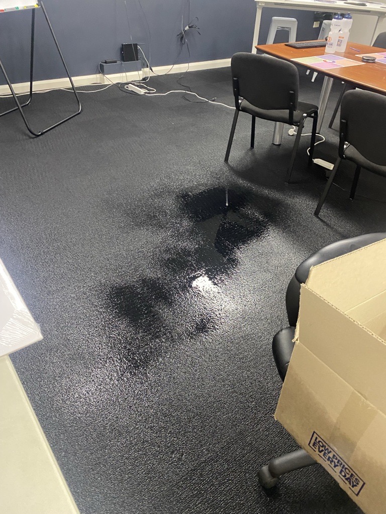 professional water extraction, flood damage repair