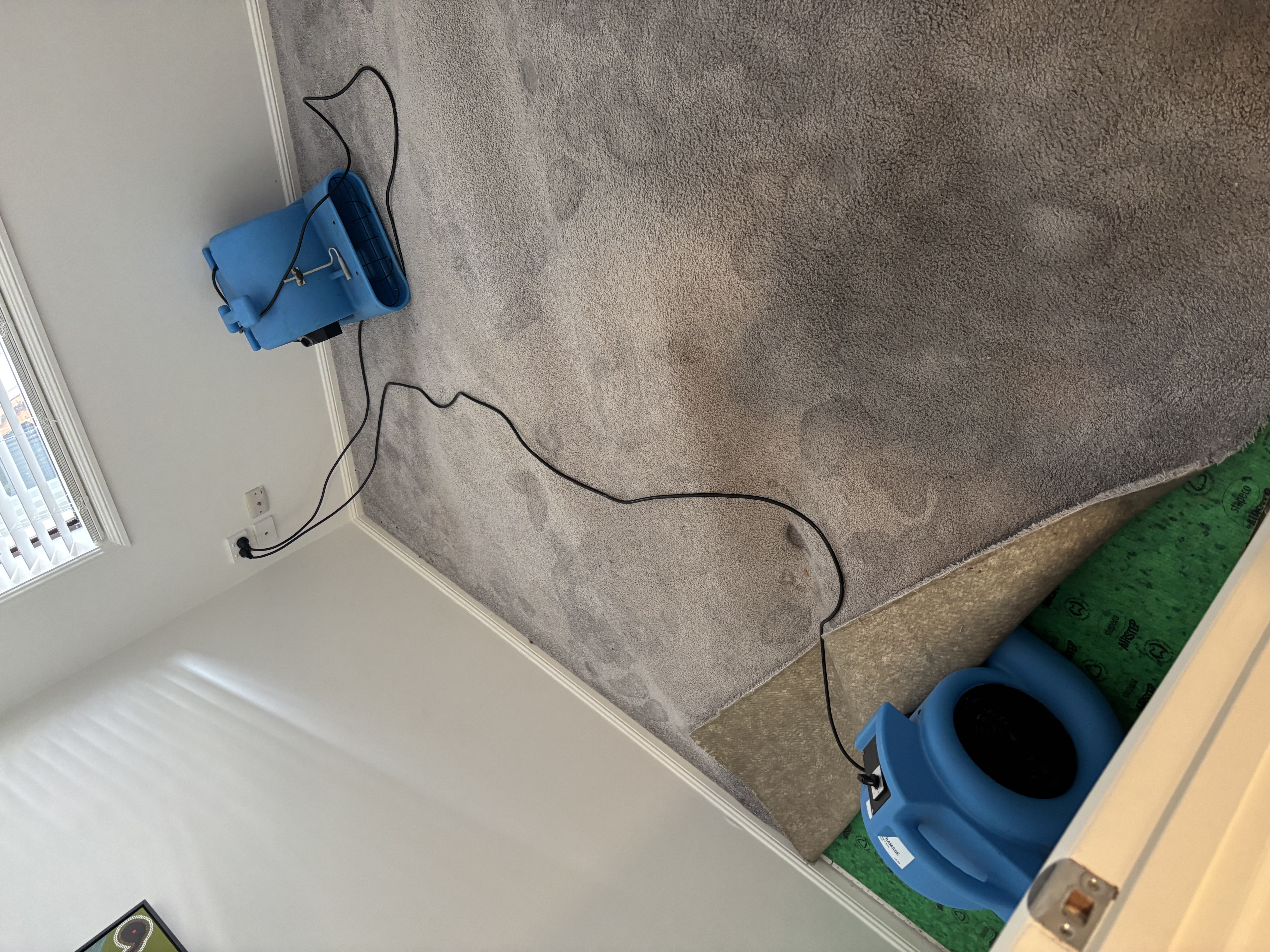 carpet relay stretching, post-flood carpet restoration
