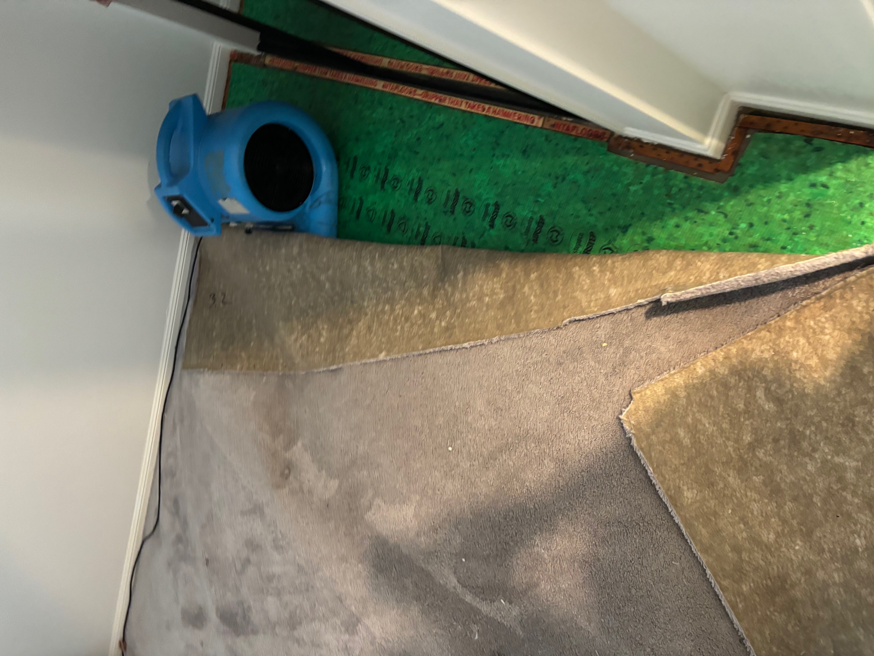 transparent pricing, flexible water damage payment plans
